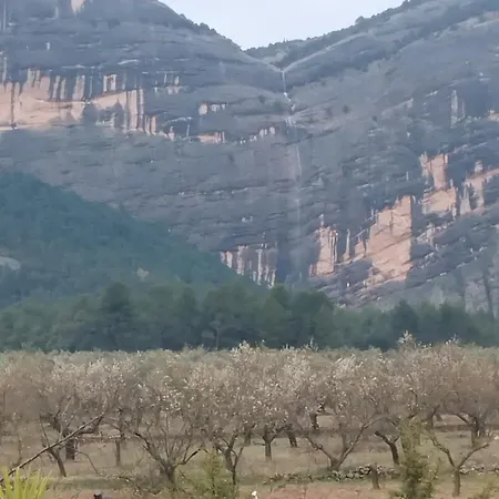 Mas De Manresa *