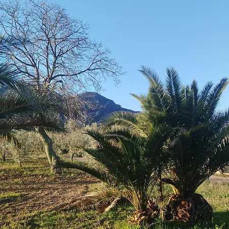 Mas De Manresa شقة